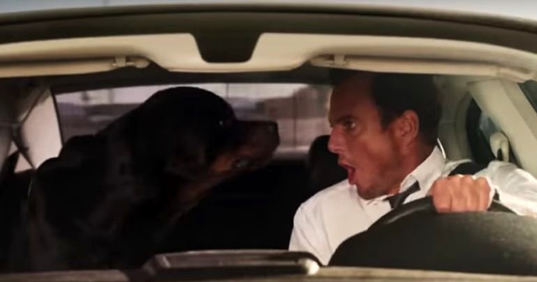 Photo from the movie Show Dogs