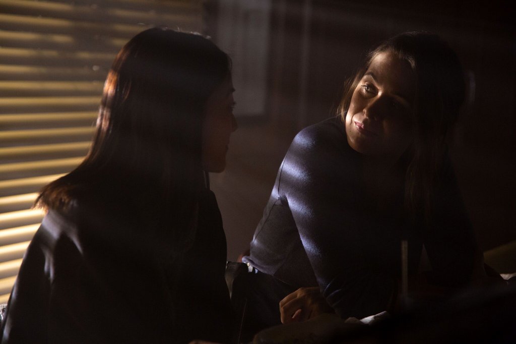 Photo from the movie Stray