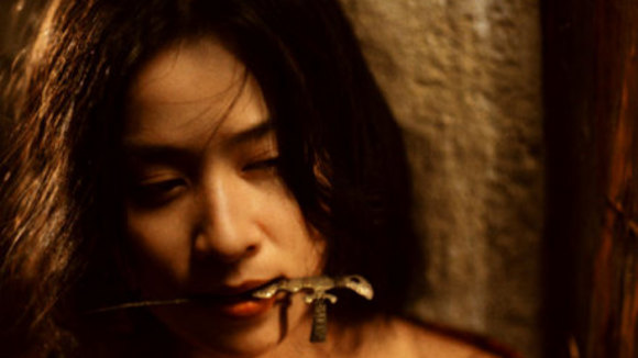 Photo from the movie Ashes of Time Redux