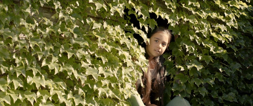 Photo from the movie Bullied