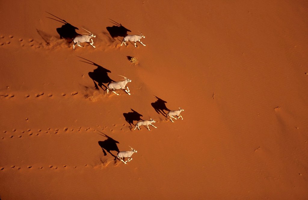 Photo from the movie Planet Earth