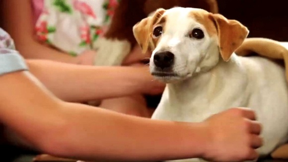 Photo from the movie Russell Madness