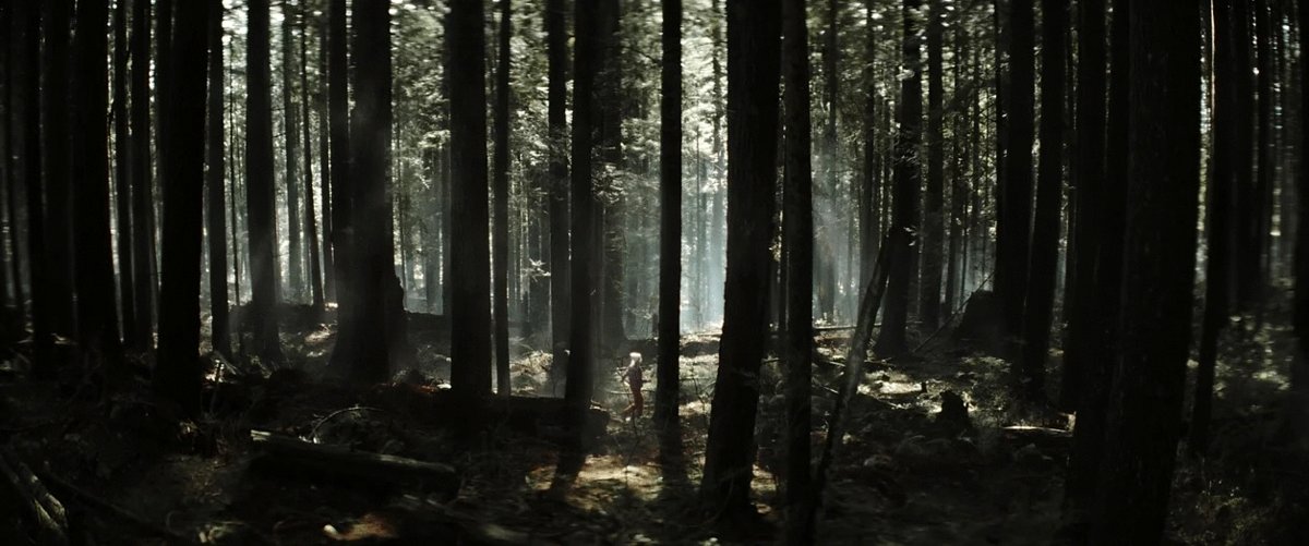 Photo from the movie With Love and a Major Organ