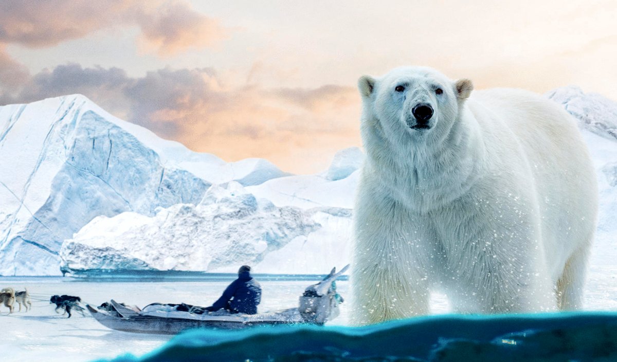 Photo from the movie Arctic: Our Frozen Planet