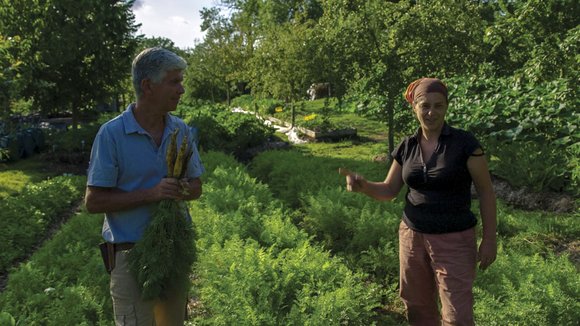 Photo from the movie Tomorrow