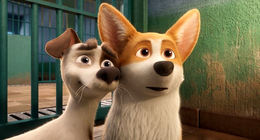 Photo from the movie The Queen's Corgi
