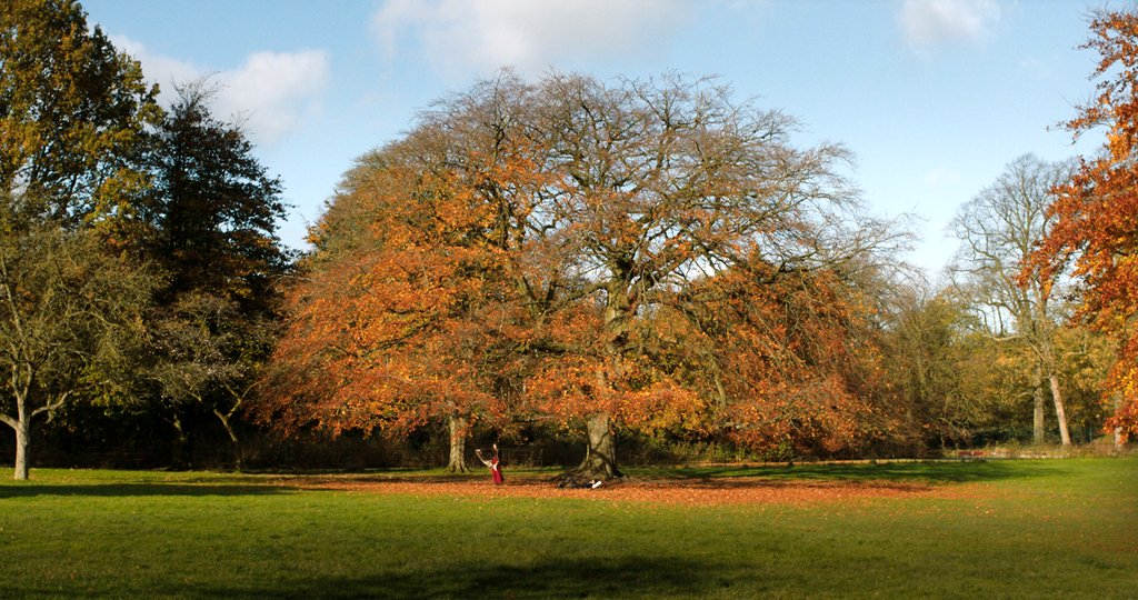 Photo from the movie Tolkien