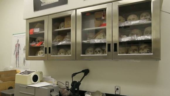 Photo from the movie Quién es Dayani Cristal?