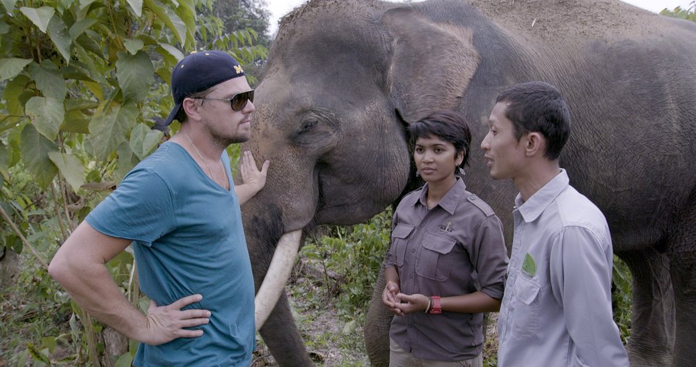 Photo from the movie Before the Flood