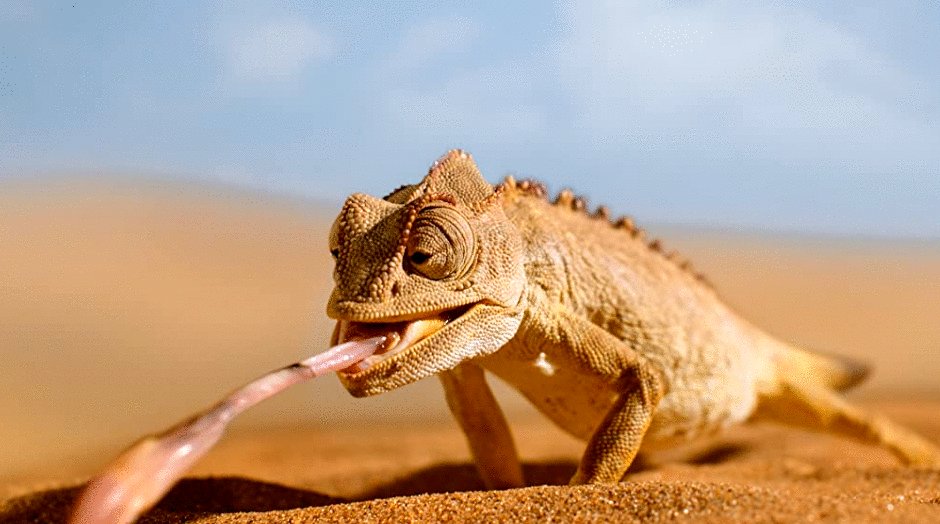 Photo from the movie Tiny World