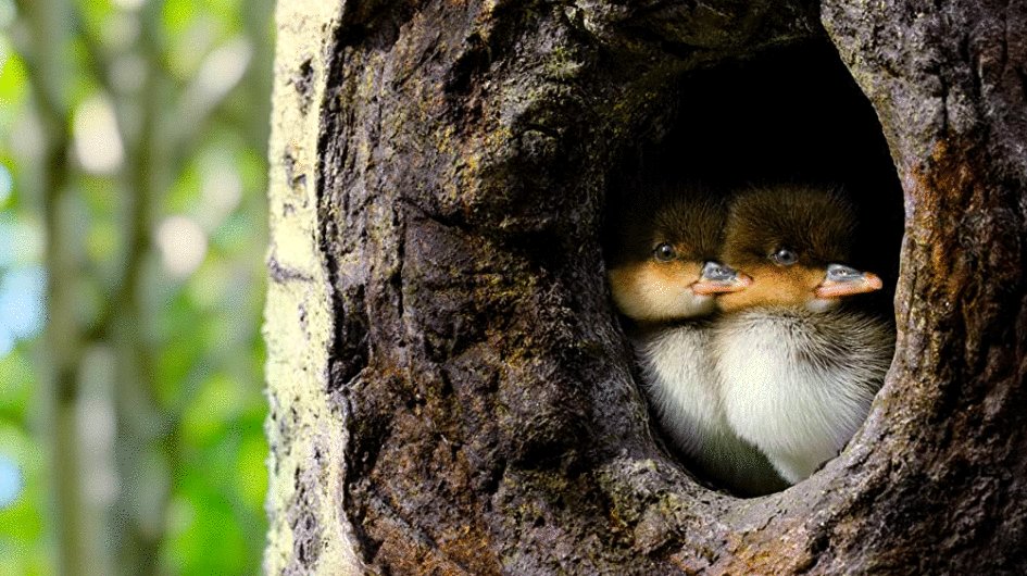 Photo from the movie Tiny World