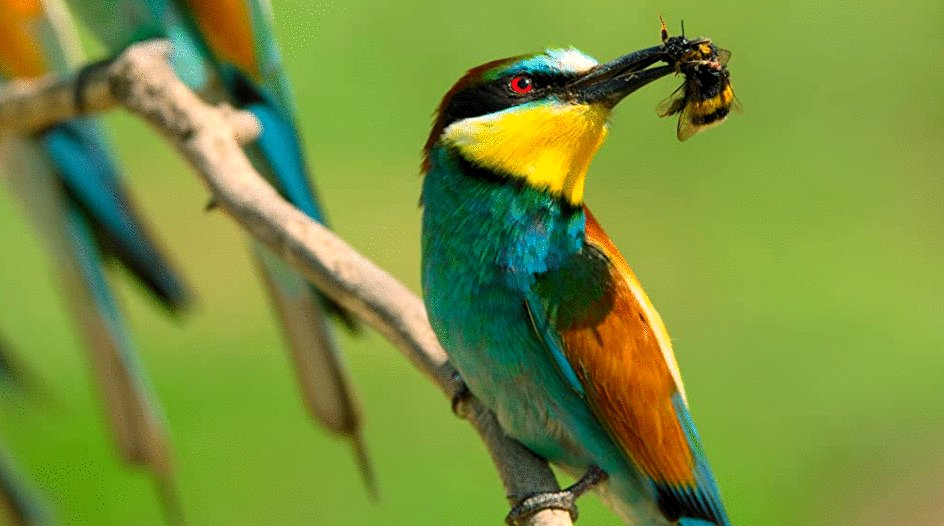 Photo from the movie Tiny World