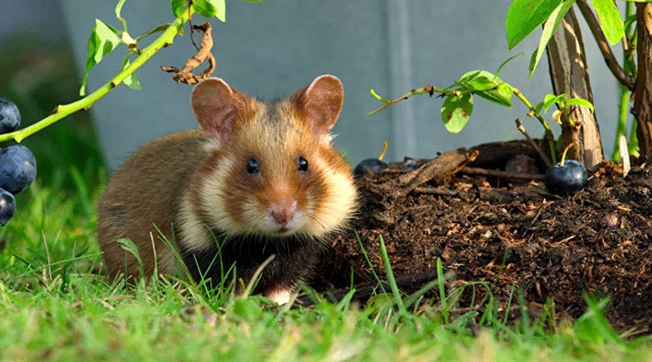 Photo from the movie Tiny World