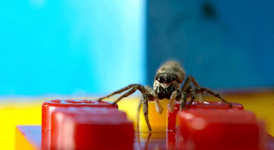 Photo from the movie Tiny World