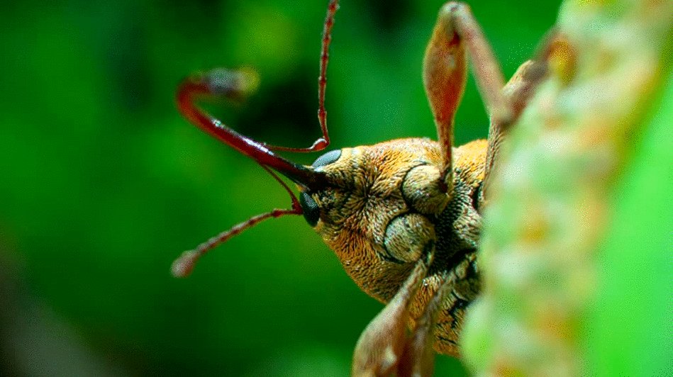 Photo from the movie Tiny World