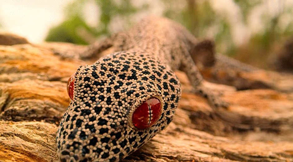 Photo from the movie Tiny World