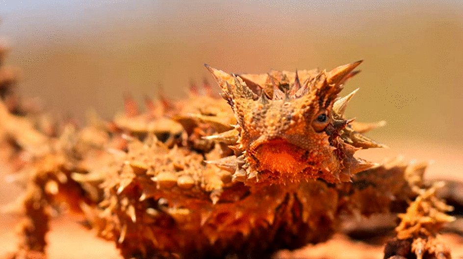 Photo from the movie Tiny World