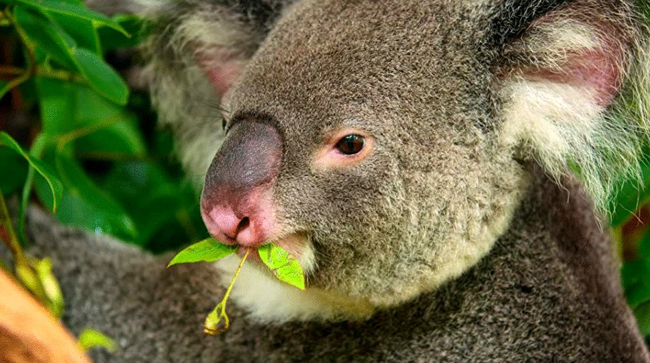 Photo from the movie Tiny World