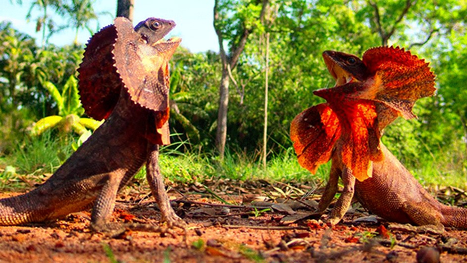 Photo from the movie Tiny World