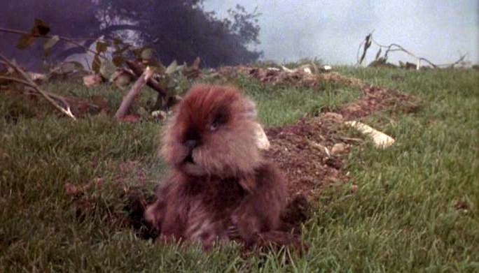 Photo from the movie Caddyshack