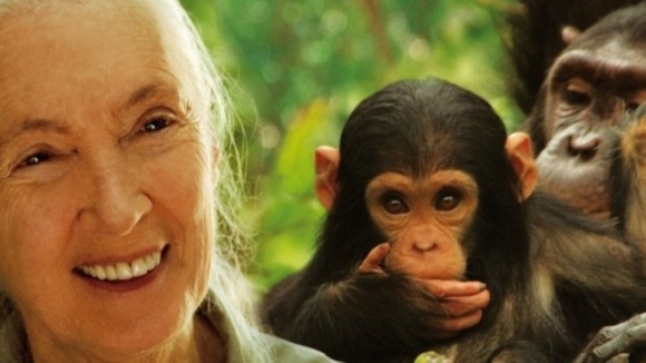 Photo from the movie Jane's Journey