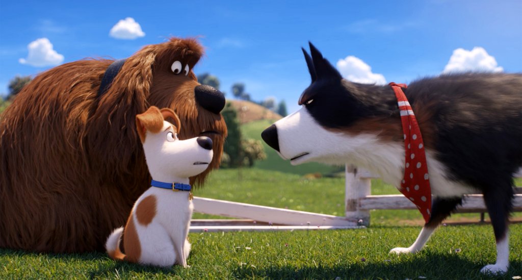 Photo from the movie The Secret Life of Pets 2