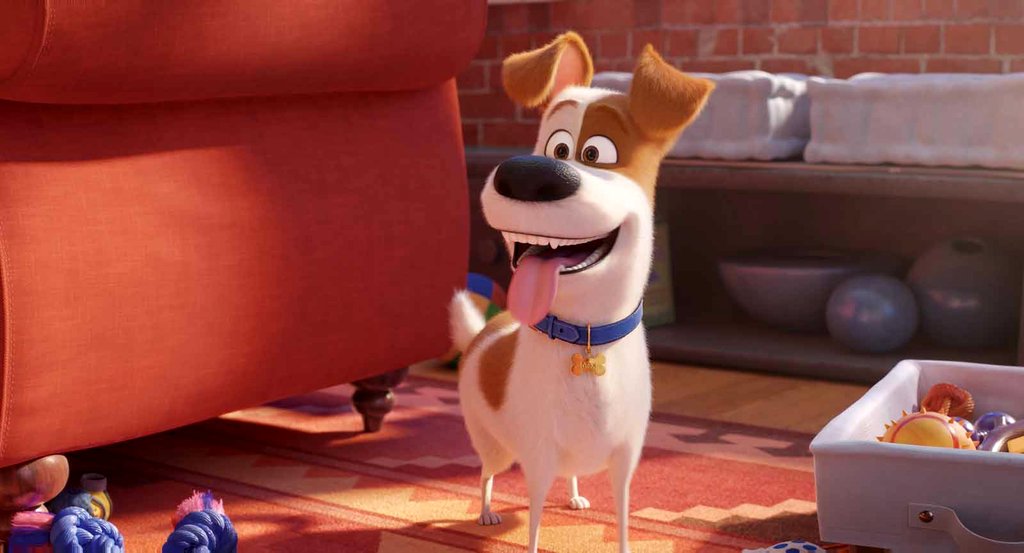 Photo from the movie The Secret Life of Pets 2