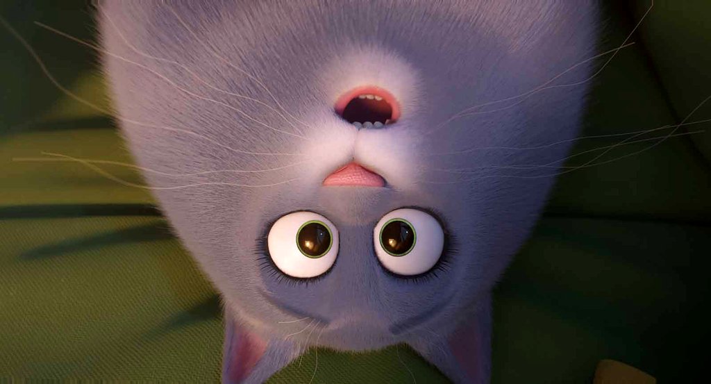 Photo from the movie The Secret Life of Pets 2