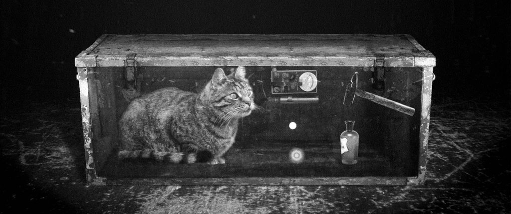 Photo from the movie Le Cyclotron