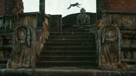 Photo from the movie Monkey Kingdom