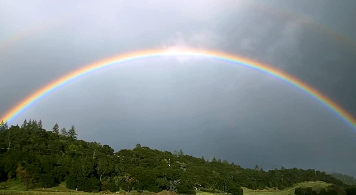 Photo from the movie A Perfect Vintage