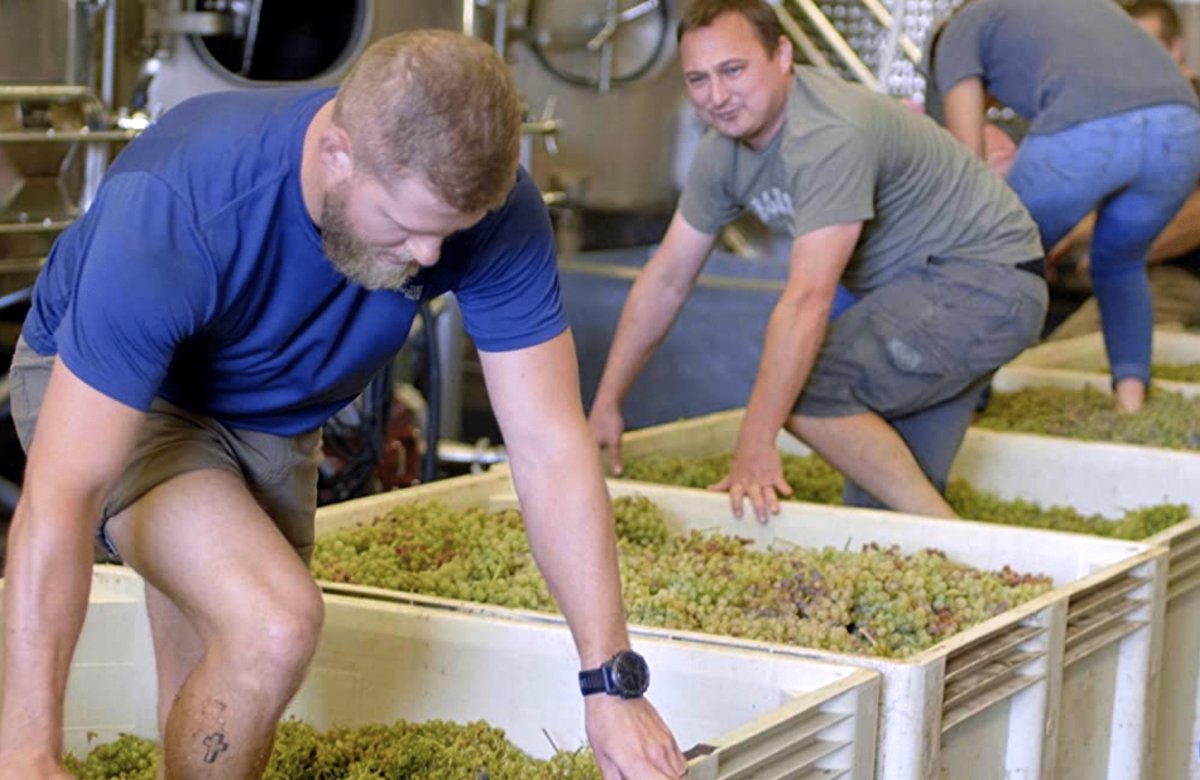 Photo from the movie A Perfect Vintage