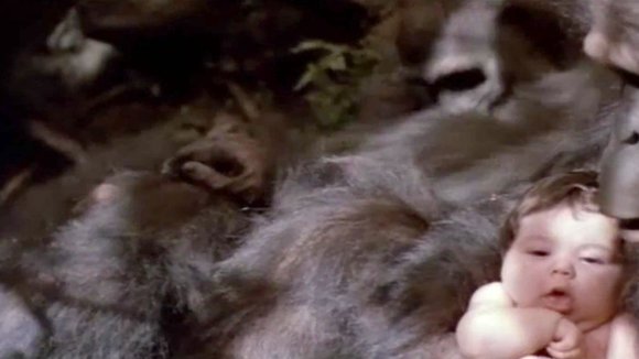 Photo from the movie Greystoke: The Legend of Tarzan, Lord of the Apes