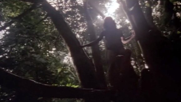 Photo from the movie Greystoke: The Legend of Tarzan, Lord of the Apes