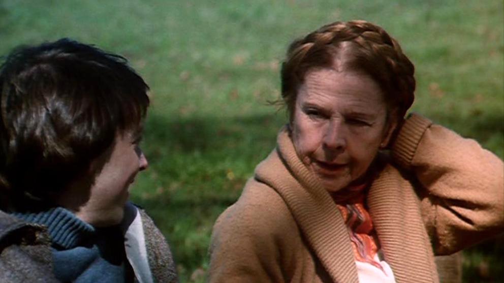Photo from the movie Harold and Maude