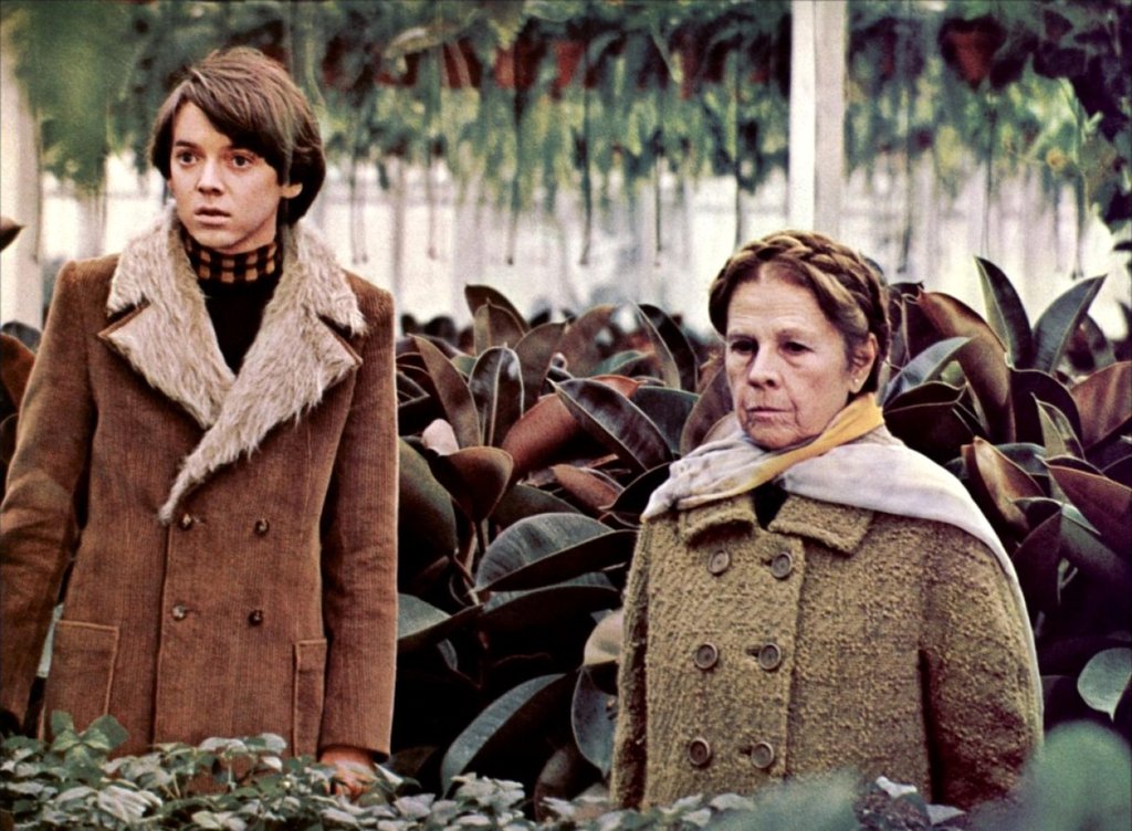 Photo from the movie Harold and Maude