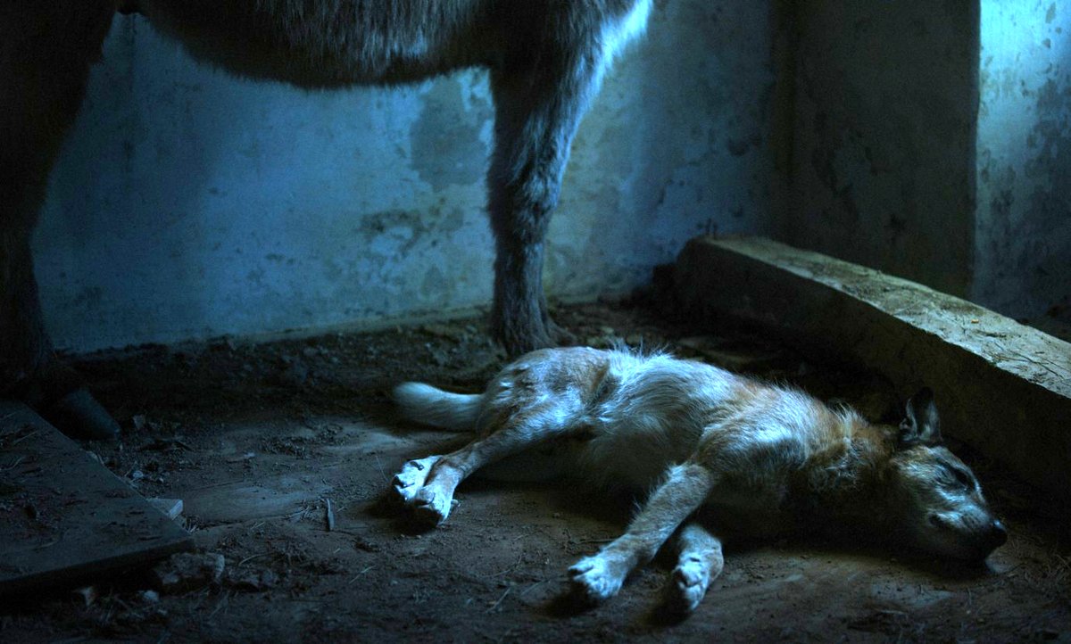 Photo from the movie I Was at Home, But