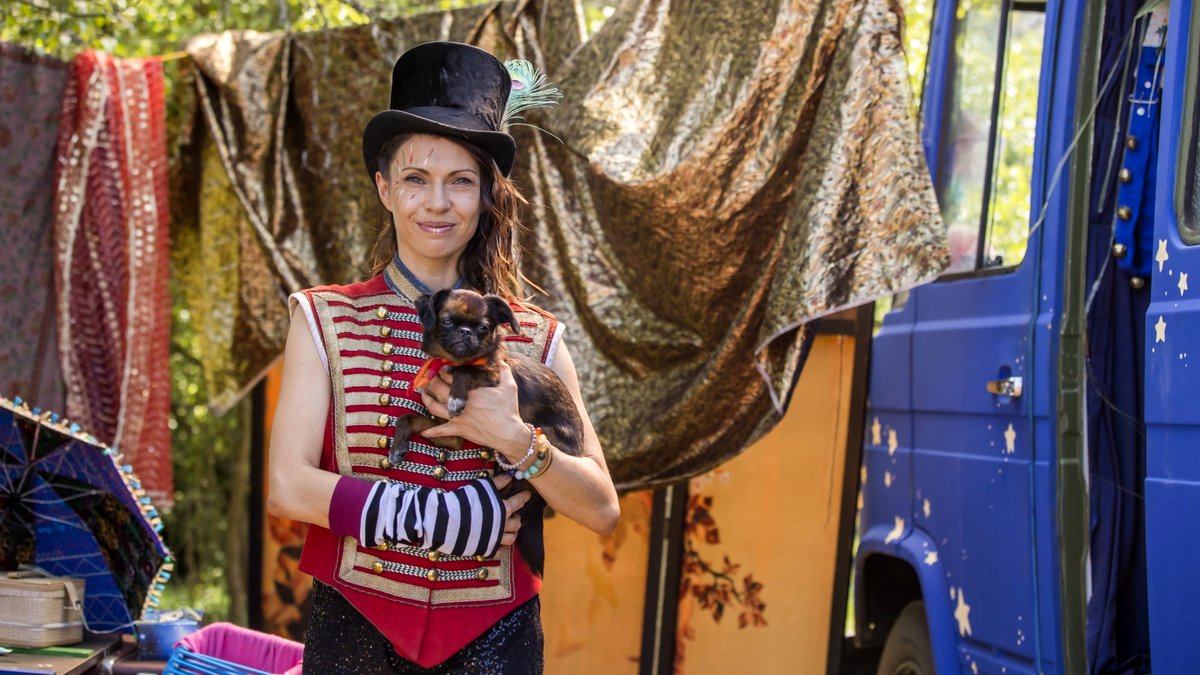 Photo from the movie Lassie - la route de l'aventure