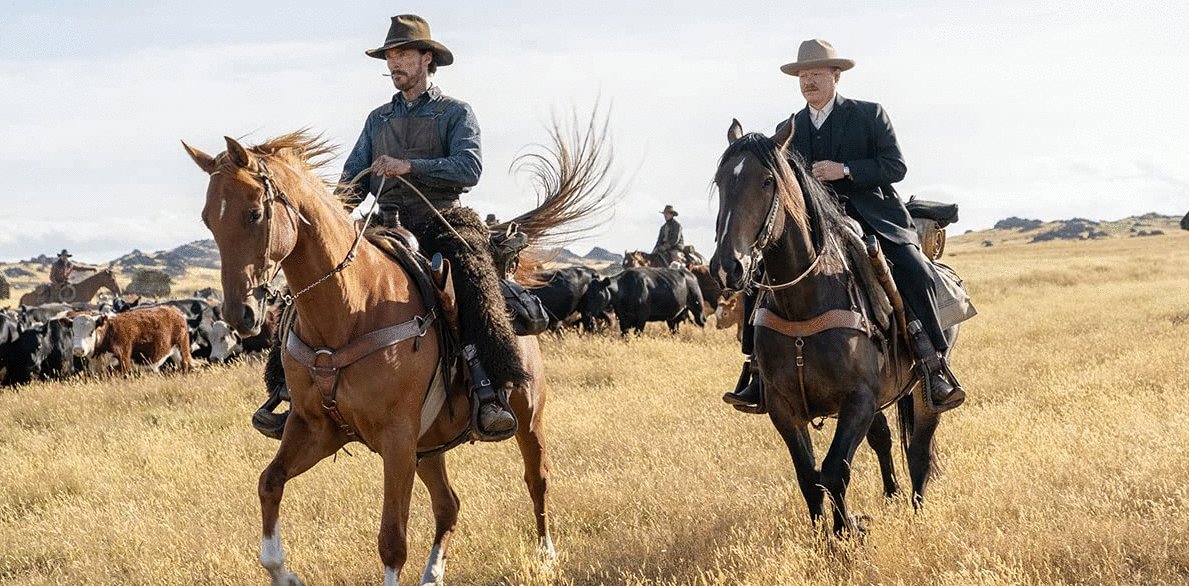 Photo from the movie The Power of the Dog