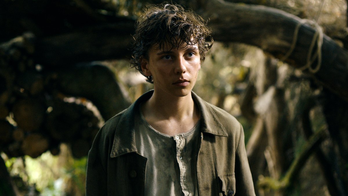 Photo from the movie Valiant Hearts