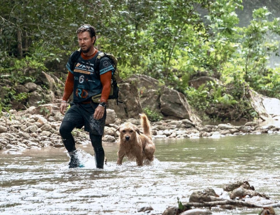 Photo from the movie Arthur the King