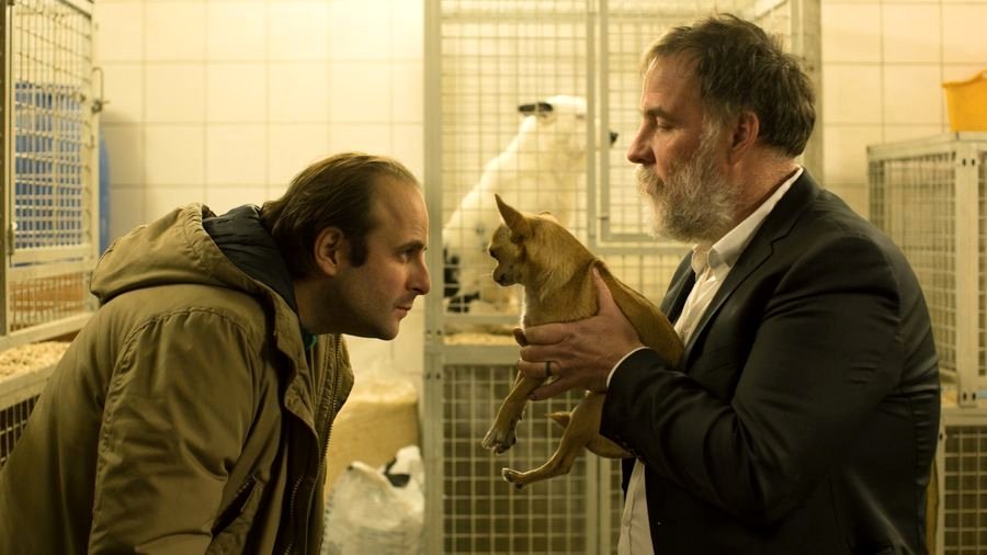 Photo from the movie Dog