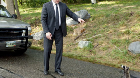 Photo from the movie Furry Vengeance