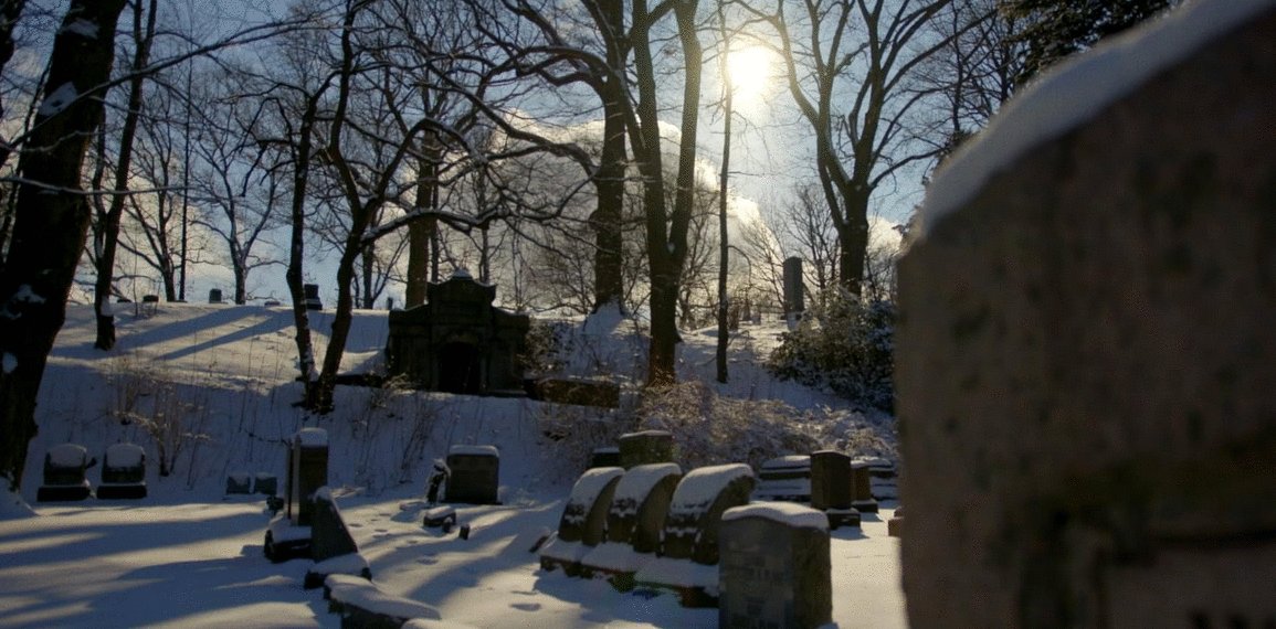 Photo from the movie The American Question