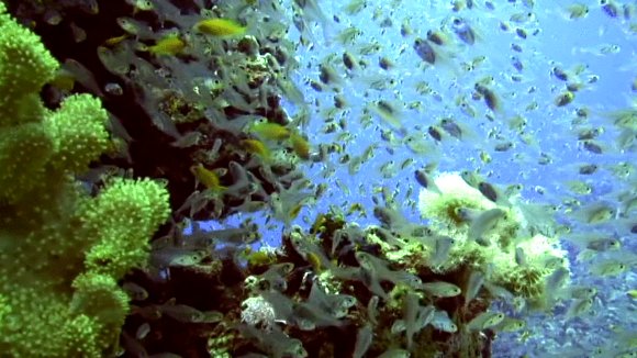 Photo from the movie Unity