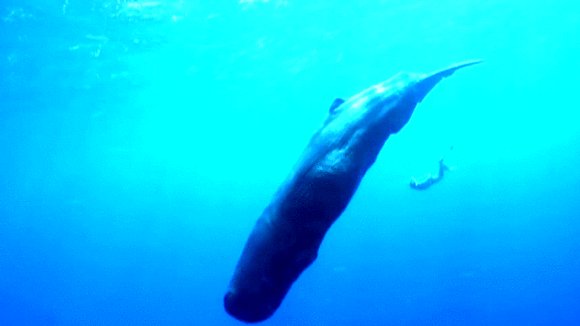 Photo from the movie Unity