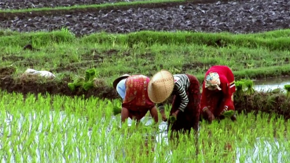 Photo from the movie Unity