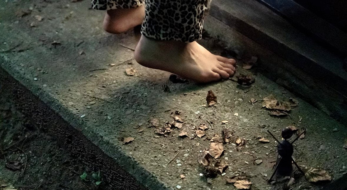 Photo from the movie The Chestnut Man