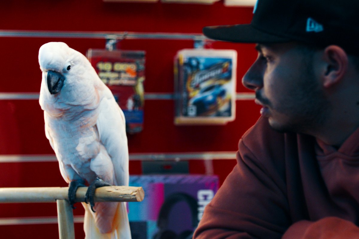 Photo from the movie Challenger