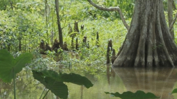 Photo from the movie The Big Uneasy